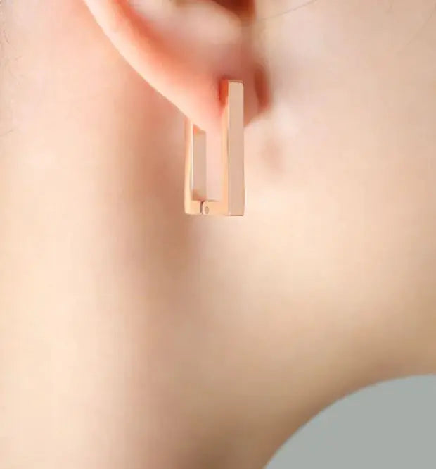Terra Geometric Gold Earrings