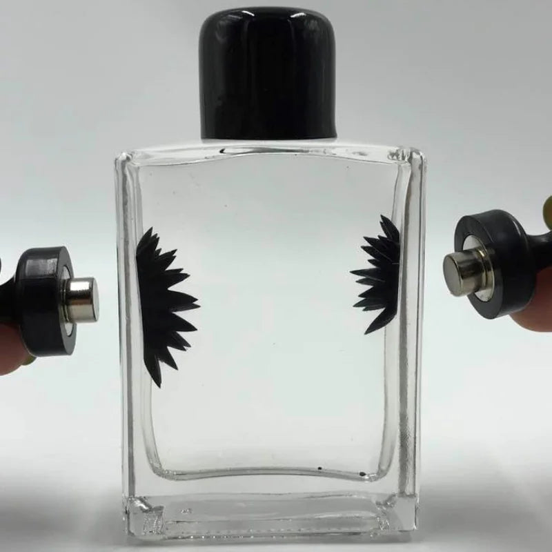 Ferrofluid Desk Toy