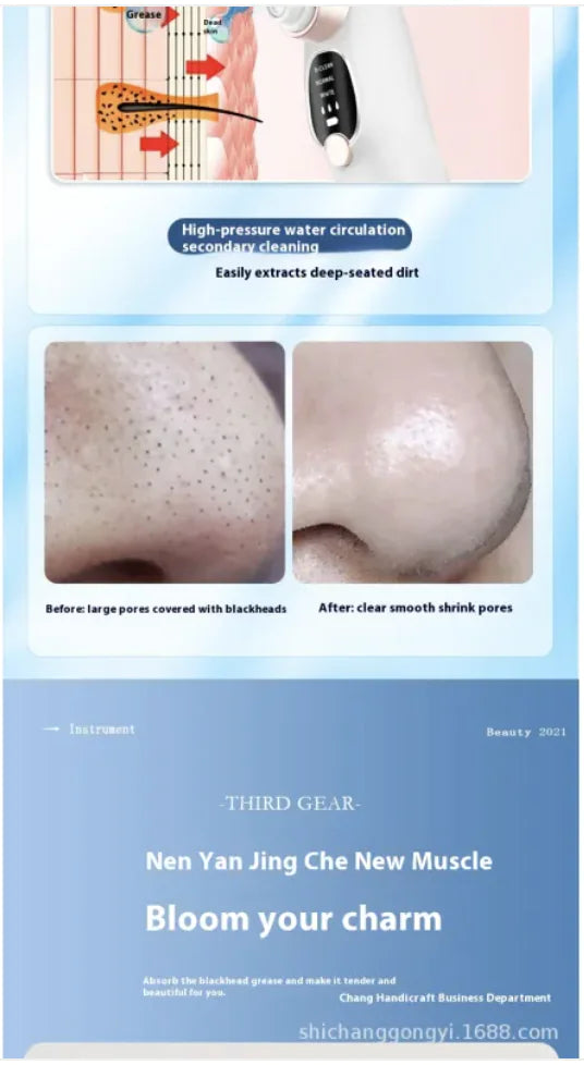 Electric Oxygen Injection Skin Spray for Pore Cleaning
