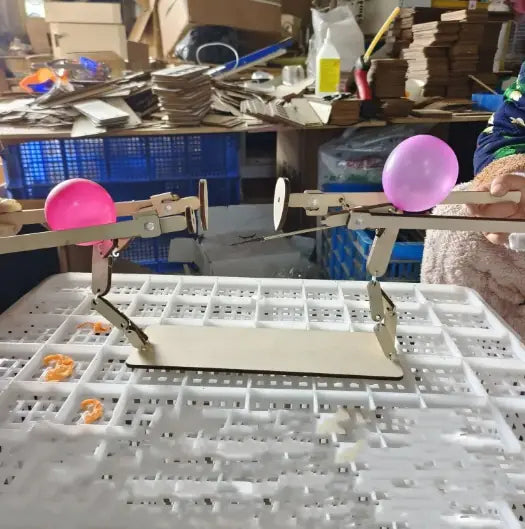 Interactive Wooden Toys