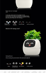 Smart Planter