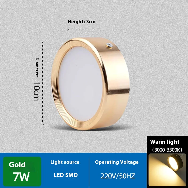 Non-Perforated Ceiling Light