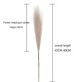 Artificial Flower Muyu Reed PAMPAS Flower