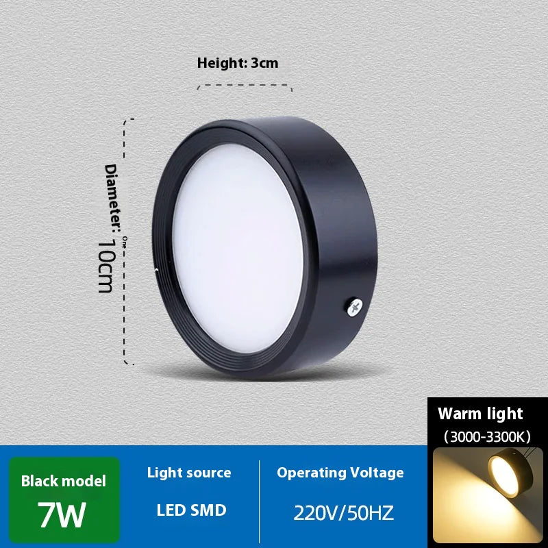 Non-Perforated Ceiling Light