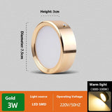 Non-Perforated Ceiling Light