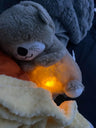 SnoozeSea Otter