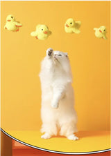 Automatic Electric Duck Cat Toy