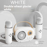 Portable Bluetooth Audio With Wireless Microphone