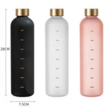 Tritan Frosted Water Bottle