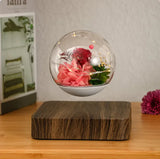 Home Desk Decoration Magnetic Levitation Perpetual Flower Ornament