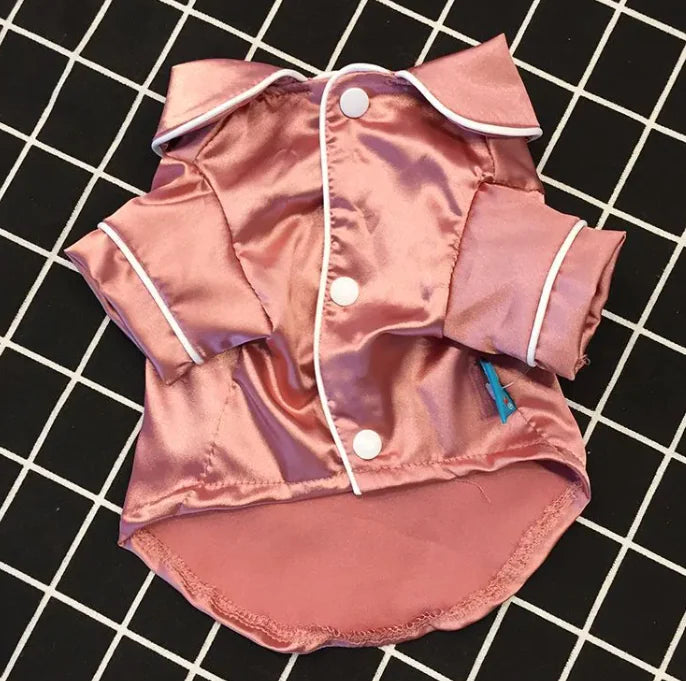 Personality Teddy Pet Outfit