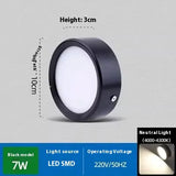 Non-Perforated Ceiling Light