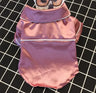 Personality Teddy Pet Outfit
