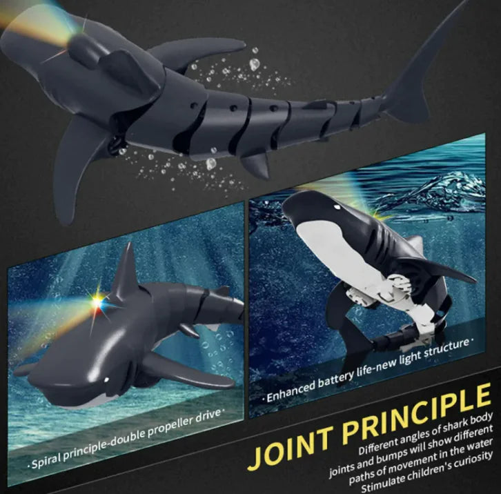 Remote Control Shark